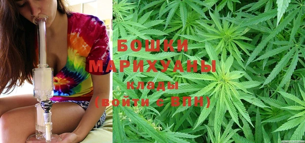 твердый Осинники