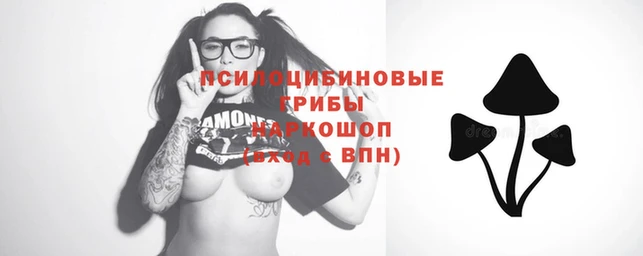 спиды Осташков