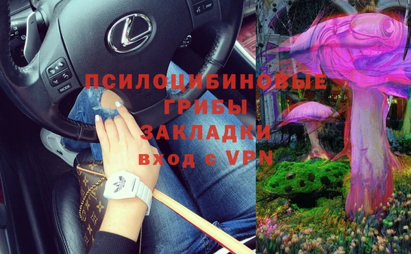 спиды Осташков