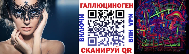 магазин  наркотиков  Тайга  Галлюциногенные грибы Magic Shrooms 